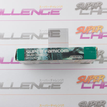 The Legend of Zelda: A Link to the Past