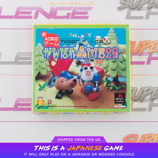 Gambare Morikawa Kimi 2nd - Pet in TV