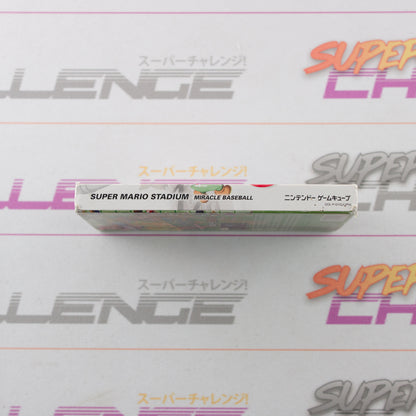 Super Mario Stadium - Miracle Baseball