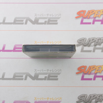 Super Mario Stadium - Miracle Baseball