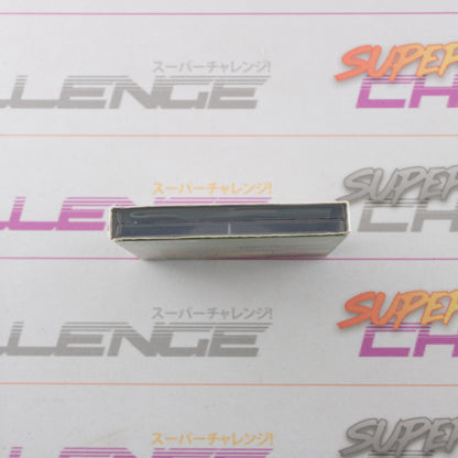 Super Mario Stadium - Miracle Baseball