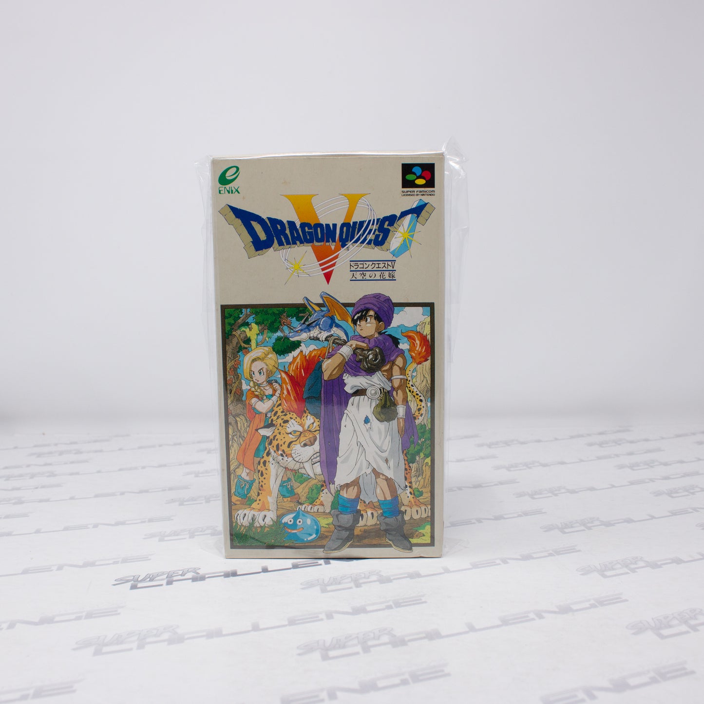 Dragon Quest V