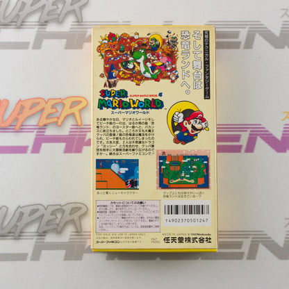 Super Mario World