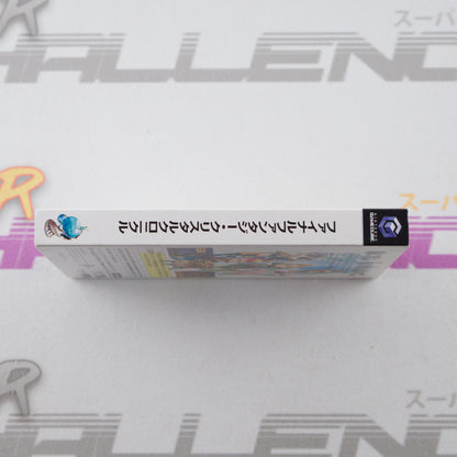 Final Fantasy Crystal Chronicles