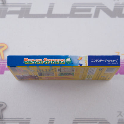 Beach Spikers: Virtua Beach Volleyball