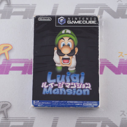 Luigi Mansion