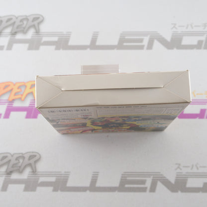 Fushigi no Dungeon Furai no Shiren 2