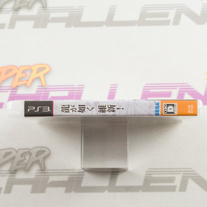 Ryu ga Gotoku: Ishin!