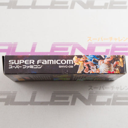 Densetsu no Ogre Battle: The March of the Black Queen