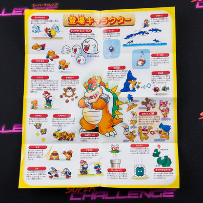 Super Mario Advance 2