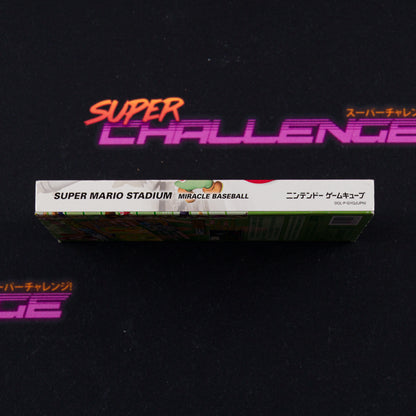 Super Mario Stadium - Miracle Baseball