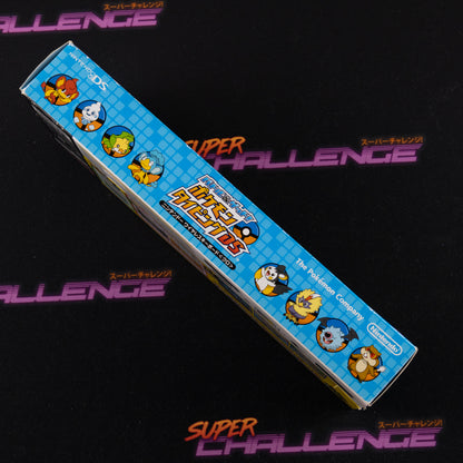 Battle & Get! Pokemon Typing DS